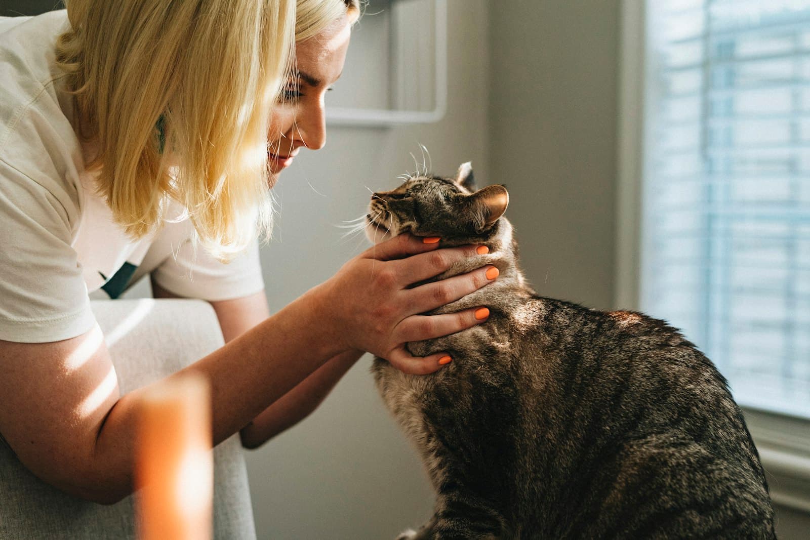 Baasje aait haar kat liefdevol bij het raam